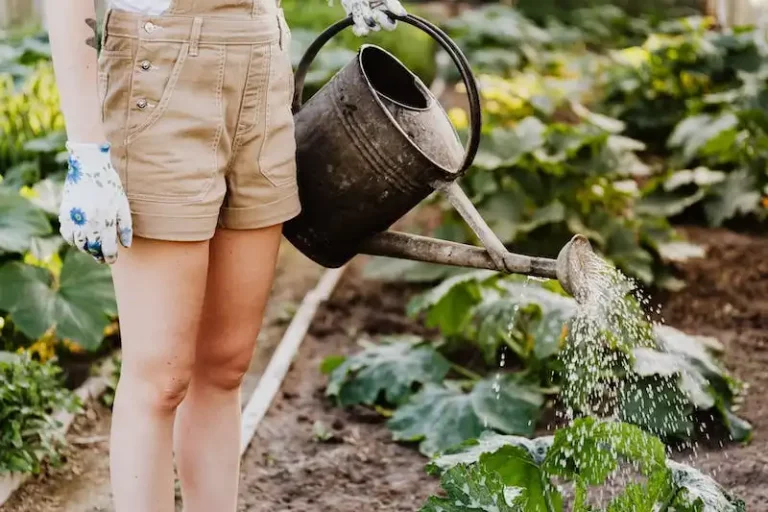 The Benefits and Strategies of Companion Planting for a Thriving Garden