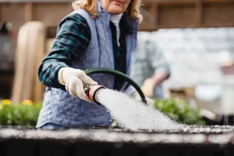 Maximizing Flower Production: A Guide to Pruning Pansies for Abundant Blooms