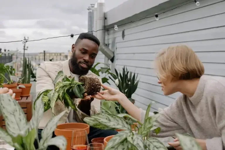 How to properly plant Daffodil bulbs in pots step by step