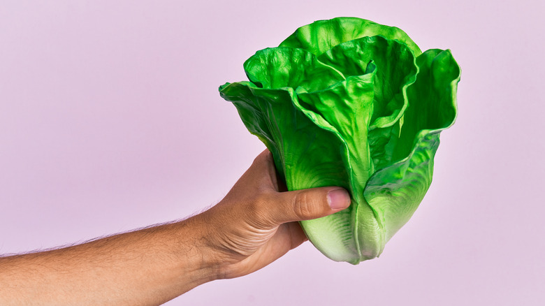 Hand holding leaves of lettuce