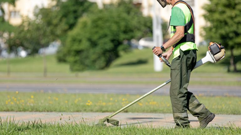 Gardener edging lawn