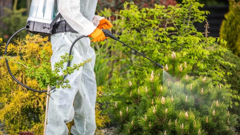 man spraying herbicide