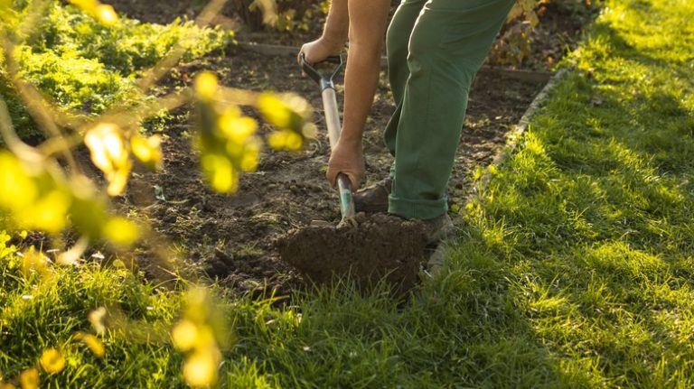 person edging garden bed