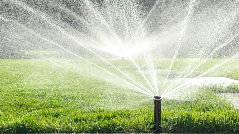 Sprinkler irrigating lawn