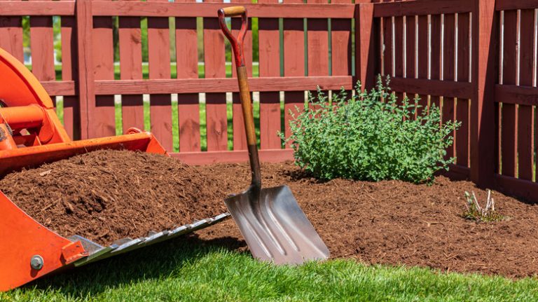 Organic mulch in yard