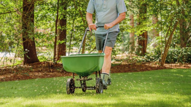 Man fertilizing lawn