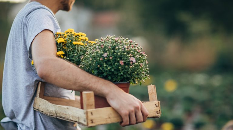 man carrying fall flowers