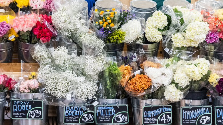 Trader Joe's flower section