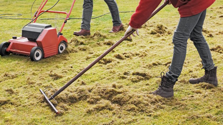 person raking thatch in lawn