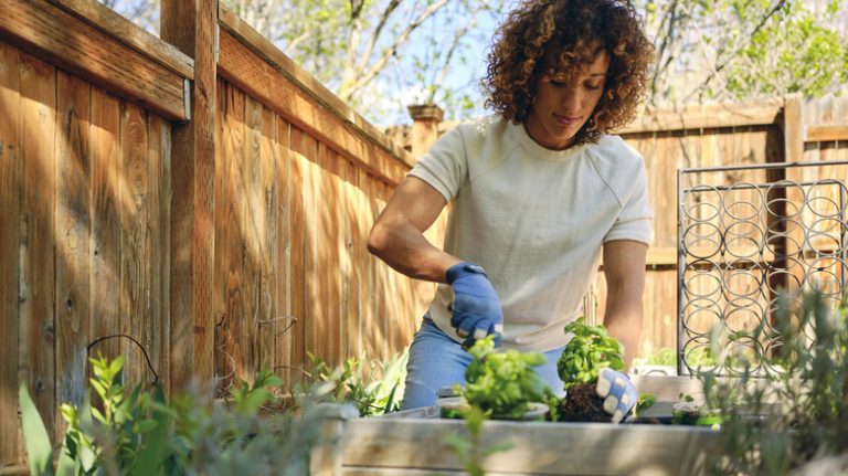 Woman planting herb garden