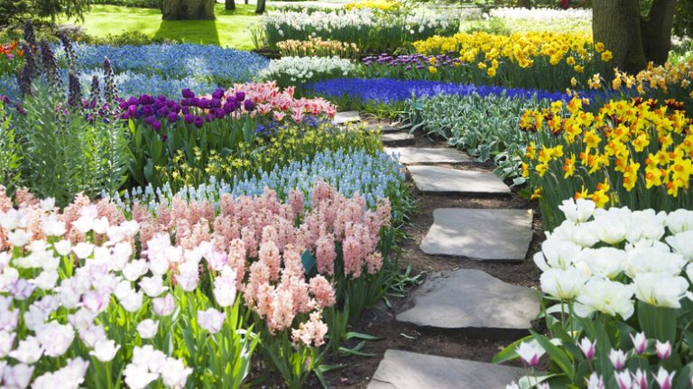 Stone path through flower garden