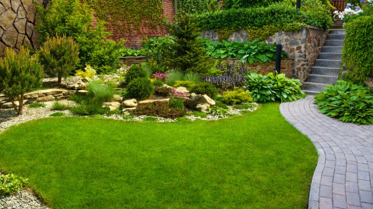 complex garden landscape and hardscape