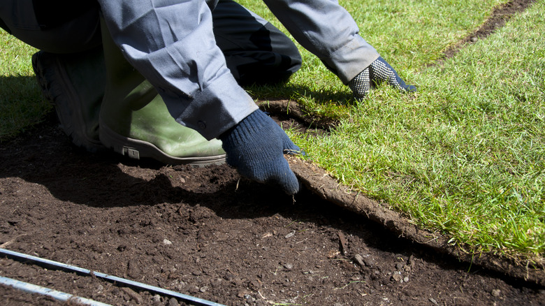 person laying sod