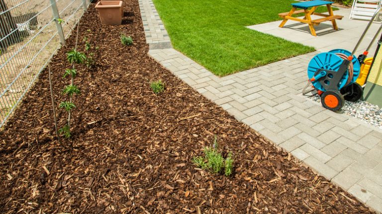 Lawn with cypress mulch