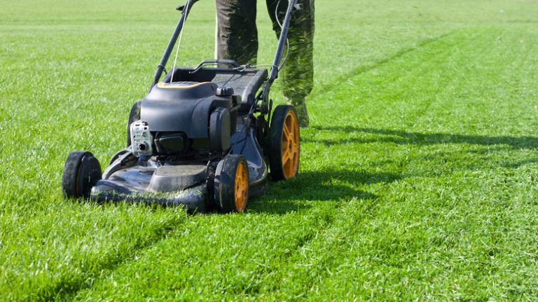 person mowing lawn with lawnmower