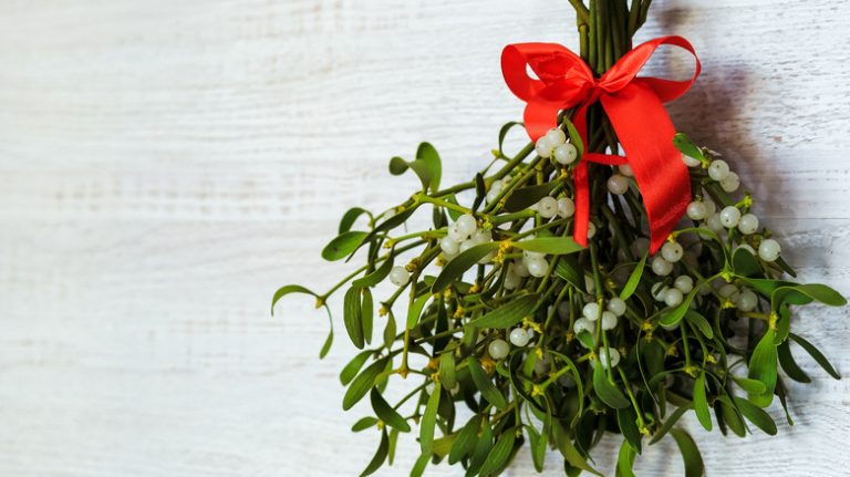 mistletoe hung on wall