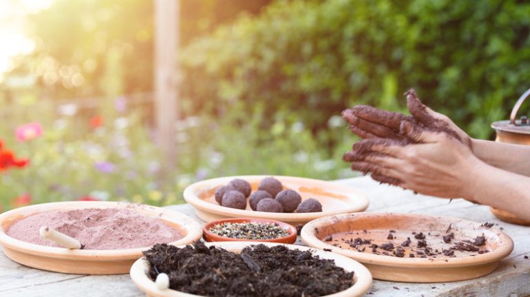 person making seed bombs