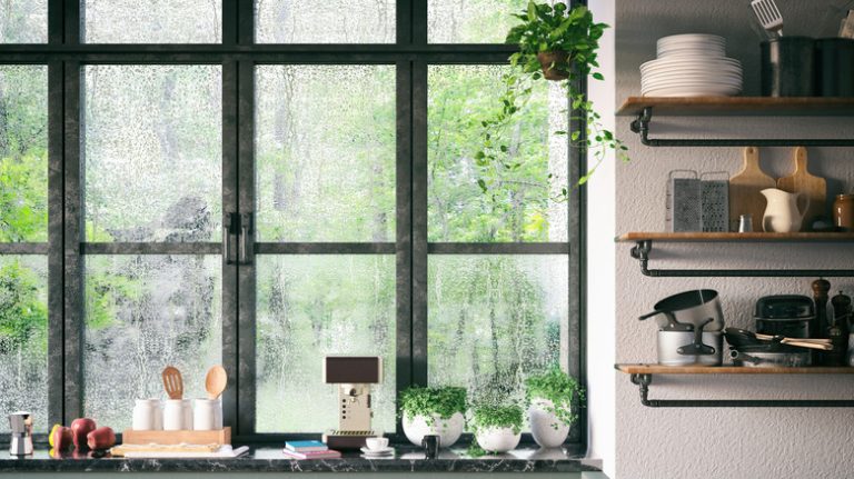 Plants in kitchen window