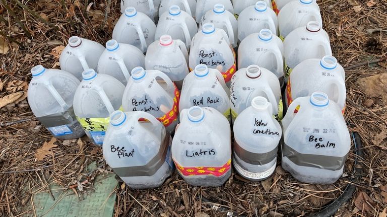 Labeled milk jugs for winter sowing