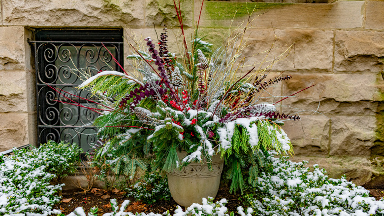 evergreen holiday display