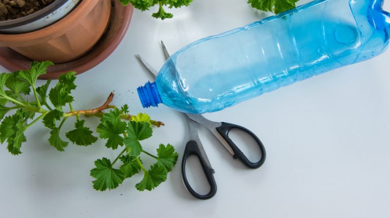 making a plastic bottle planter