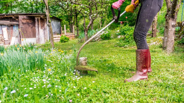 Woman trimming weeds