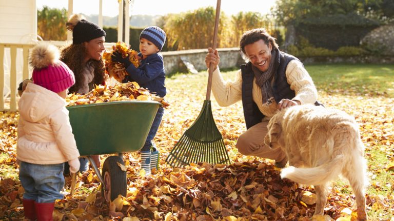 Family raking leaves