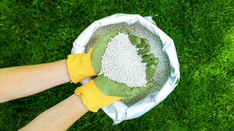 Person holding lawn fertilizer