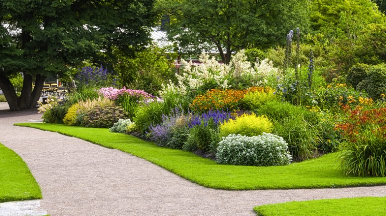 colorful outdoor garden