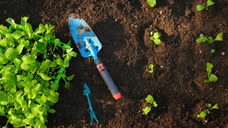 Garden trowel left in soil