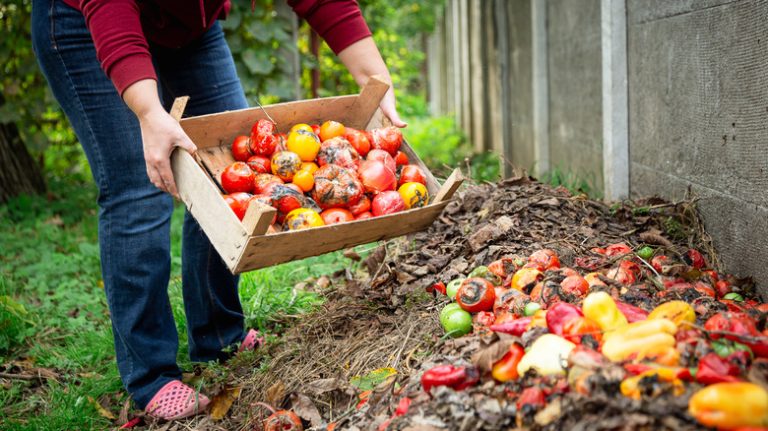 Gardener adding to compost heap