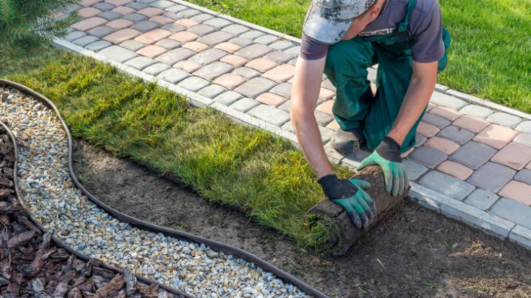 person installing sod