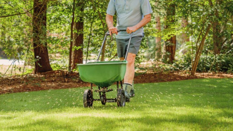 Man planting grass seed