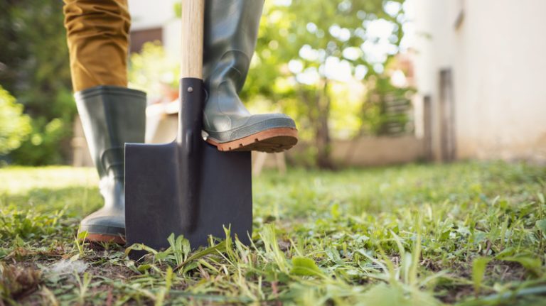 Person pressing shovel into lawn