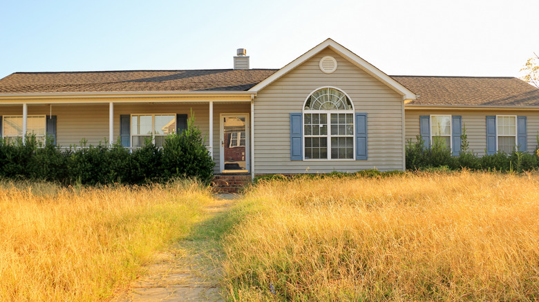 Overgrown yard with long yellow grass