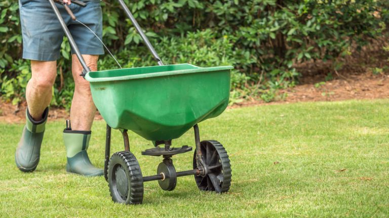 man fertilizing a lawn