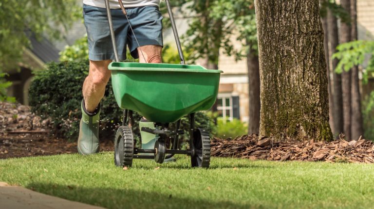 Man seeding lawn