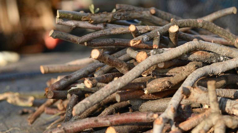 pile of sticks