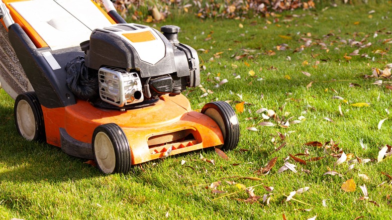 lawn mower on grass with leaves