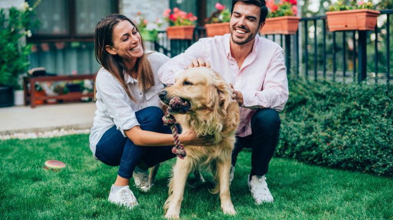 Couple plays with dog outside