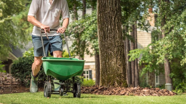 Person using lawn spreader