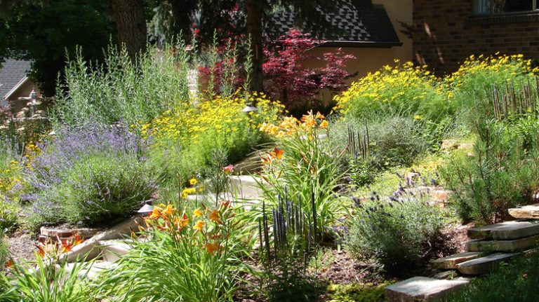 Lawn with stairs and wildflowers