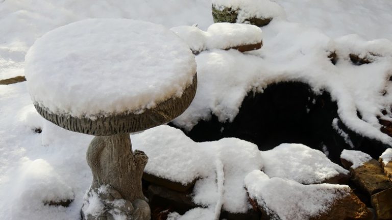 birdbath covered in snow