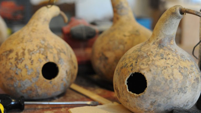 birdhouses made from gourds