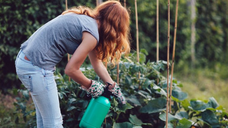 woman in garden