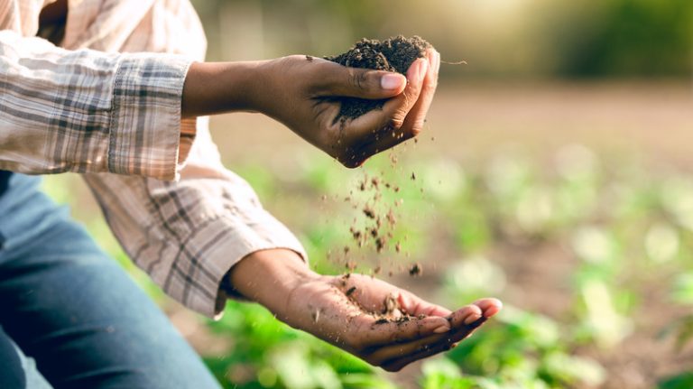 person holding soil in garden