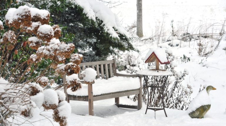 Yard covered in snow