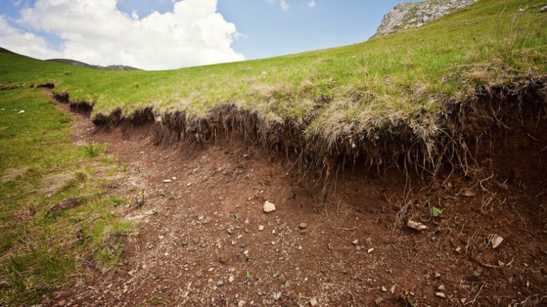 Eroded sloped lawn