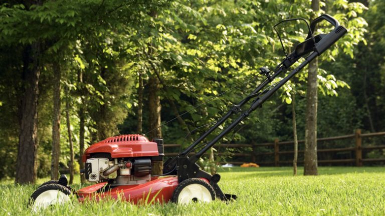 lawn mower yard trees