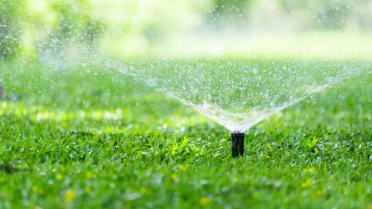 Sprinklers watering the lawn